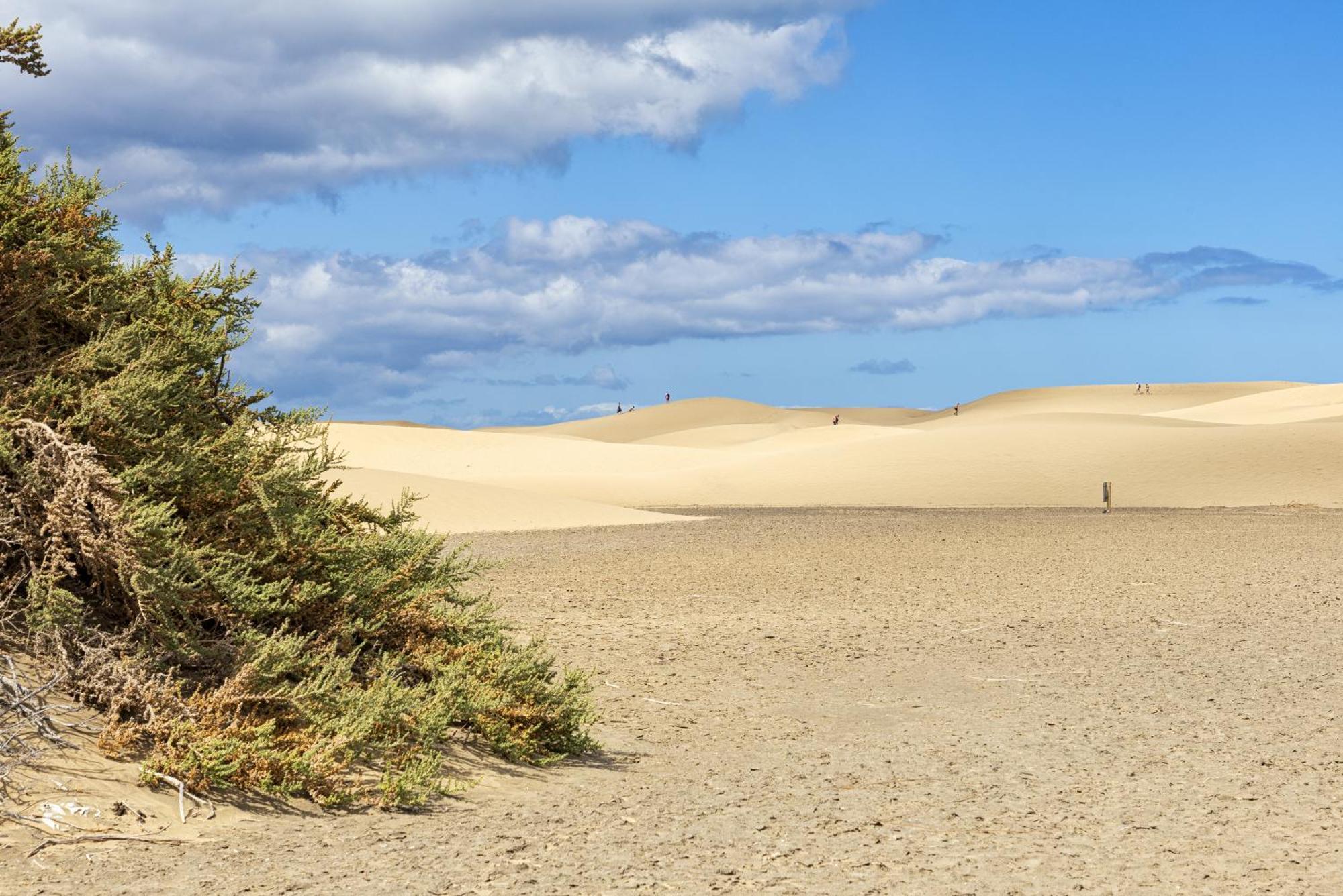 Smartr Maspalomas Corinto ปลายา เดล อิงเกลส ภายนอก รูปภาพ